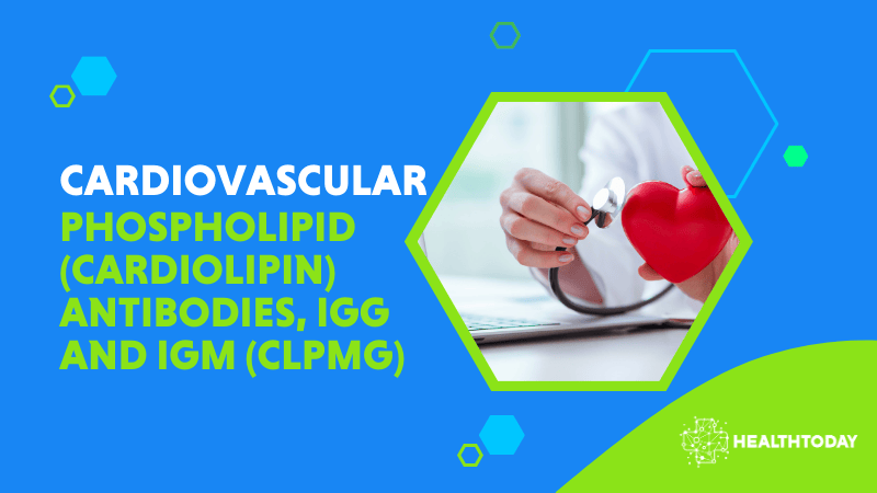 Phospholipid (Cardiolipin) Antibodies, IgG and IgM (CLPMG)
