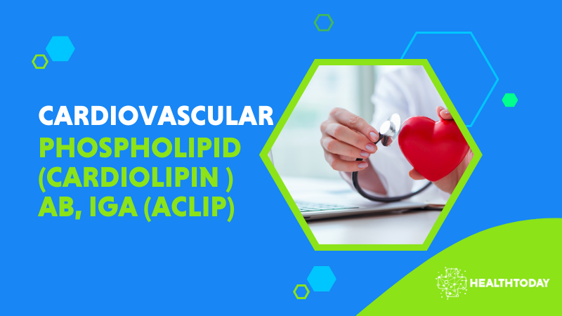 Phospholipid (Cardiolipin ) Ab, IgA (ACLIP)