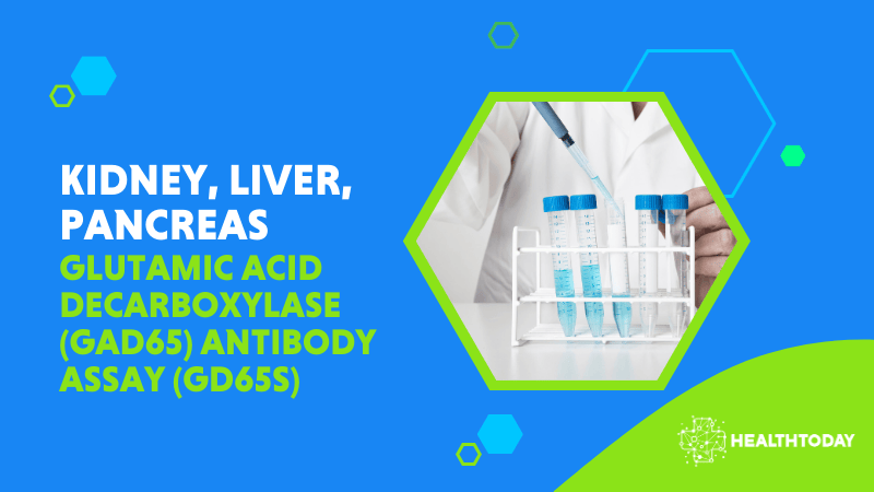 Glutamic Acid Decarboxylase (GAD65) Antibody Assay (GD65S)