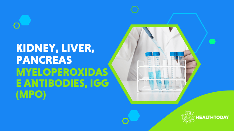 Myeloperoxidase Antibodies, IgG (MPO)