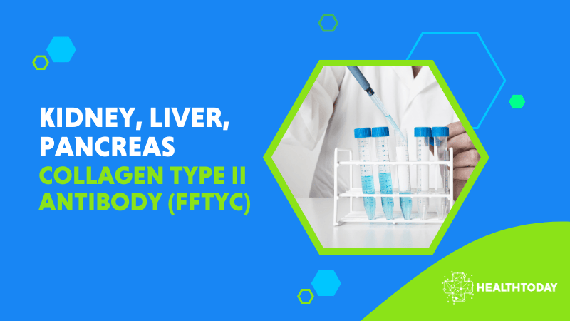 Collagen Type II antibody (FFTYC)