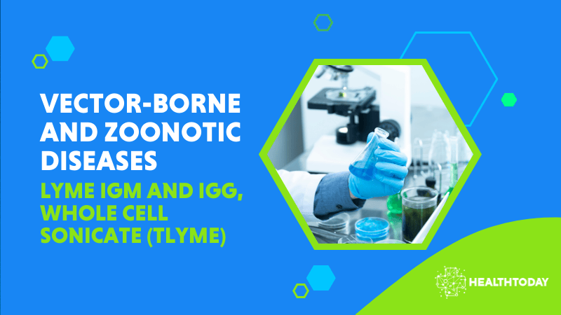 Lyme IgM and IgG, Whole Cell Sonicate (TLYME)