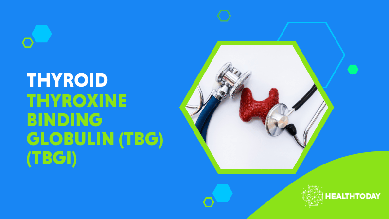 Thyroxine Binding Globulin (TBG) (TBGI)