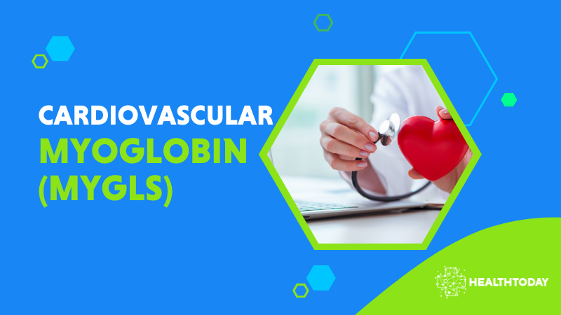 Mayo Clinic MYGLS Screening Muscle Health Blood Test Health Today Mayo Clinic MYGLS Screening Muscle Health Blood Test Health Today