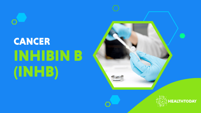 Inhibin B (INHB)