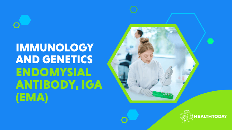 Endomysial Antibody, IgA (EMA)