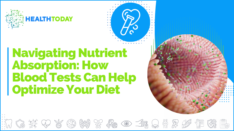 Navigating Nutrient Absorption: How Blood Tests Can Help Optimize Your Diet