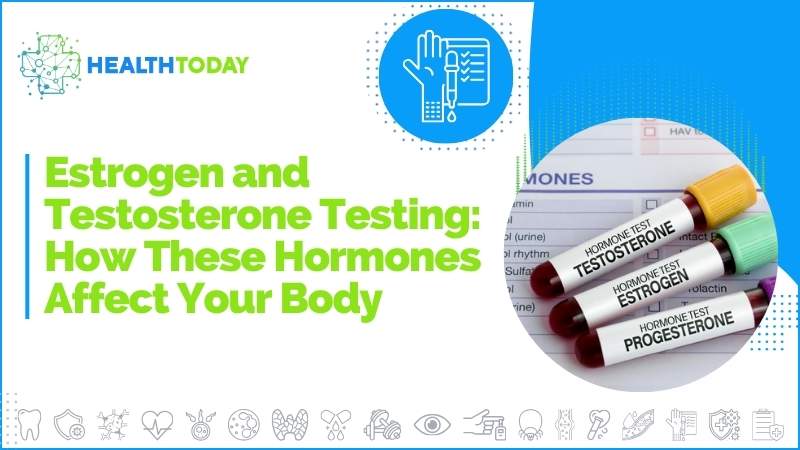 Estrogen and Testosterone Testing: How These Hormones Affect Your Body